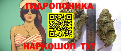 ешки Волгодонск